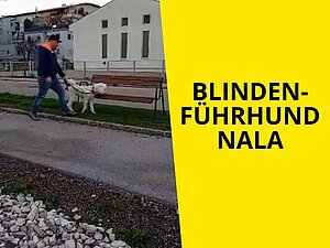 Mann geht mit Assistenzhund auf der Straße auf eine Bank zu. Text: "Blindenführhund Nala"