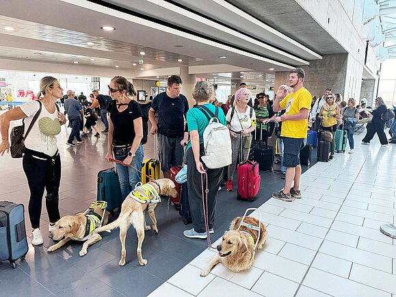 Eine Gruppe von Menschen mit Koffern wartet in einer Flughafenhalle. Mehrere Blindenführhunde sind anwesend, einige liegen entspannt auf dem Boden. Die Menschen unterhalten sich oder hören aufmerksam zu. Einer trägt ein gelbes T-Shirt und scheint die Gruppe zu koordinieren.